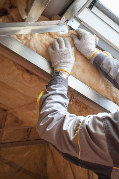 Best Insulation Air Sealing  in USA